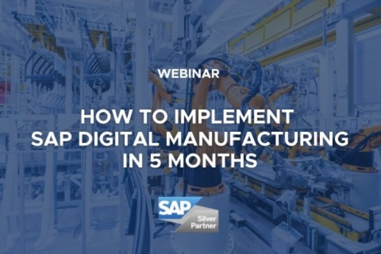 How To Implement SAP DM In 5 Months_Vorschaubild